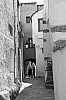 gasse in sant' antonino - korsika - (c) r plock (bdm).jpg